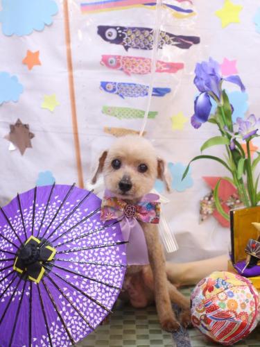 20240521マークくん